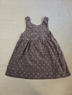 Zara Dress 2T